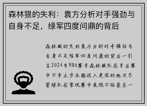 森林狼的失利：袁方分析对手强劲与自身不足，绿军四度问鼎的背后