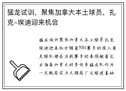 猛龙试训，聚焦加拿大本土球员，扎克-埃迪迎来机会