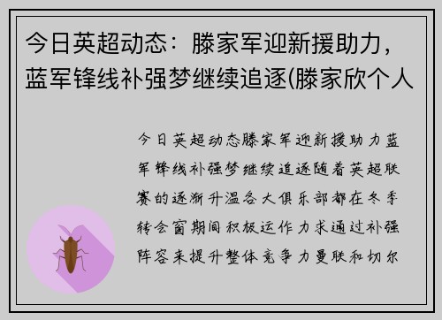 今日英超动态：滕家军迎新援助力，蓝军锋线补强梦继续追逐(滕家欣个人资料)