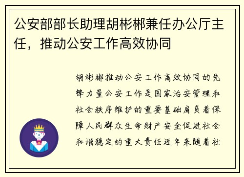 公安部部长助理胡彬郴兼任办公厅主任，推动公安工作高效协同